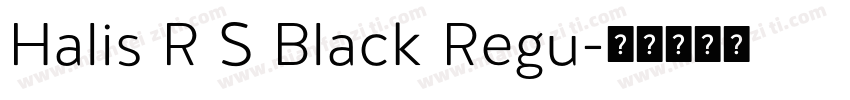 Halis R S Black Regu字体转换